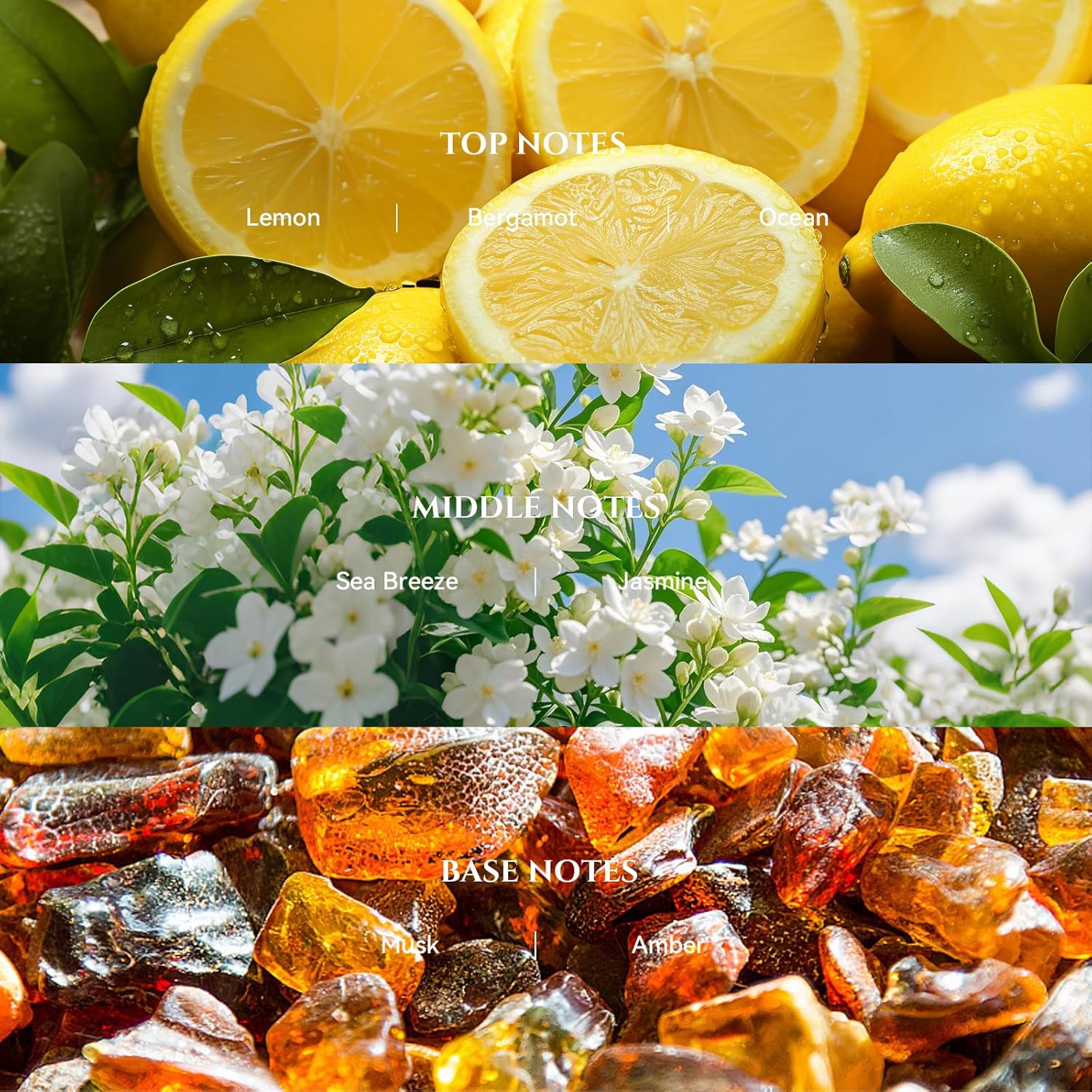 Bergamot Coastal Diffuser Oil Inspired by Luxury Hotel Scent 6.76 Fl Oz (200ml), Aroma Diffuser & Hotel Fragrance Diffuser Oil, Essential Oil Diffuser for Aromatherapy, Long-Lasting - Image 2