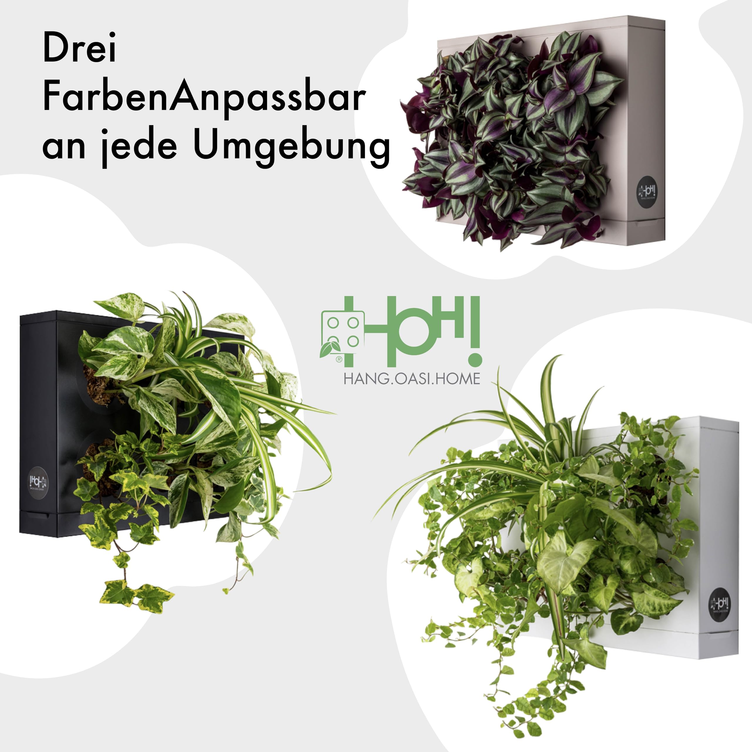 Ortisgreen HOH! DIY-Pflanzenbox aus ABS-Kunststoff für 6 Pflanzen in weiße, inklusive natürlichem Substrat (Sphagnum-Moos) und Anleitung.