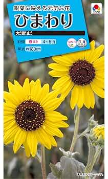 ゆきひまわりページ 81yC75KUU0L._UF350,350_QL50_.jpg