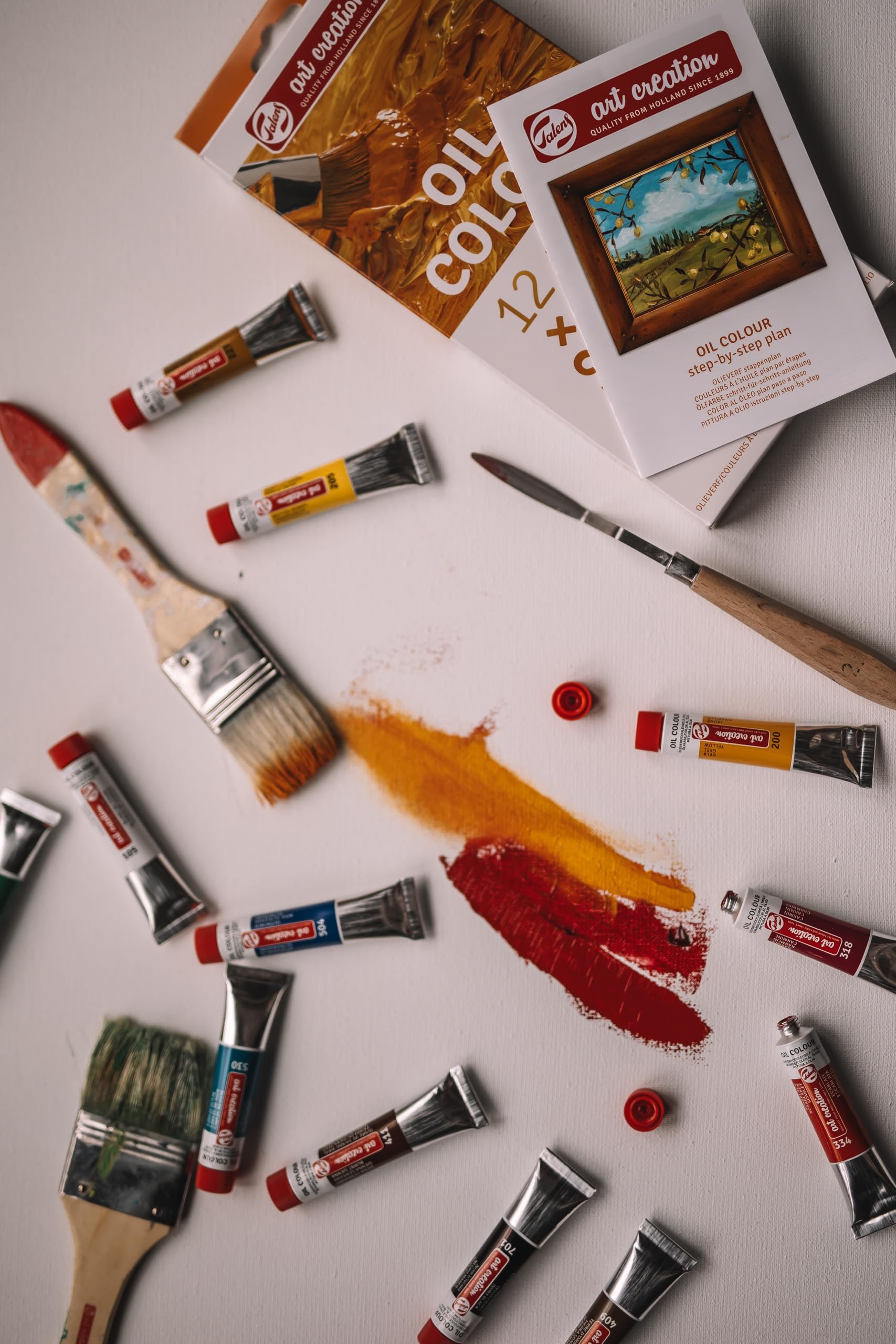 Amazon.com: Talens Art Creation Beginner Oil Painting Kit with 12