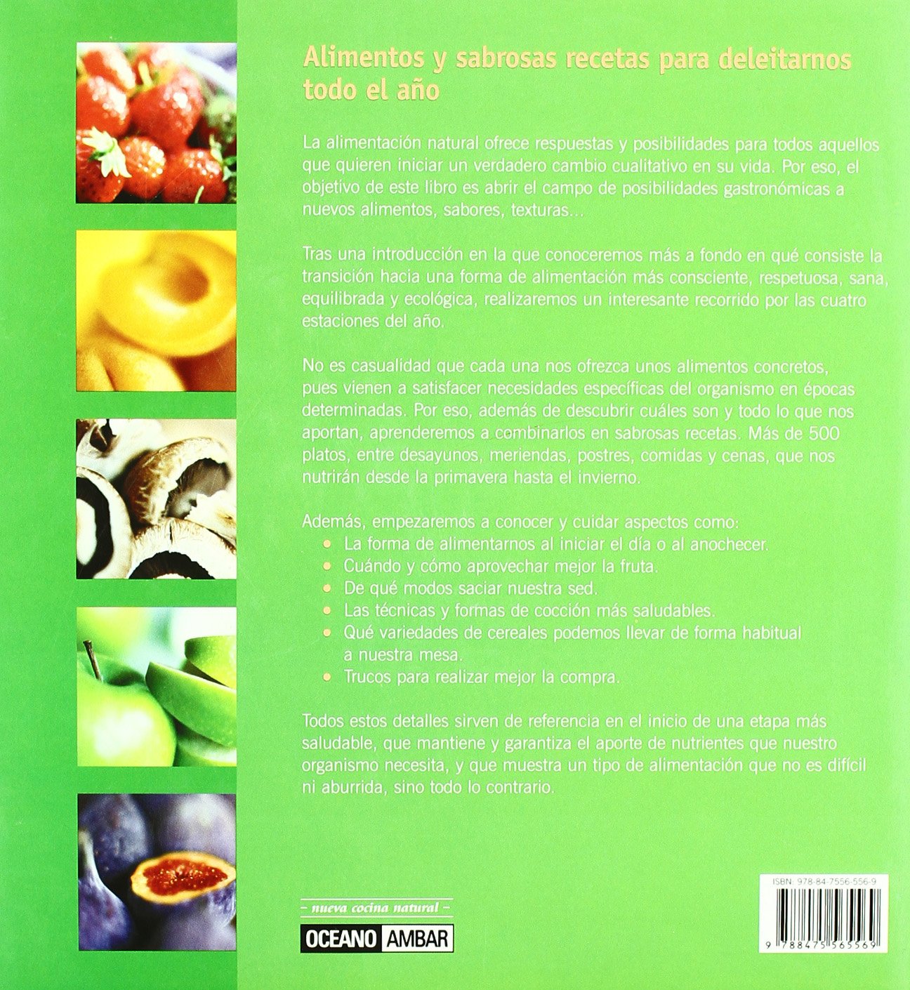 Cocina vegetariana para las cuatro estaciones: Deliciosas recetas para saborear durante todo el año