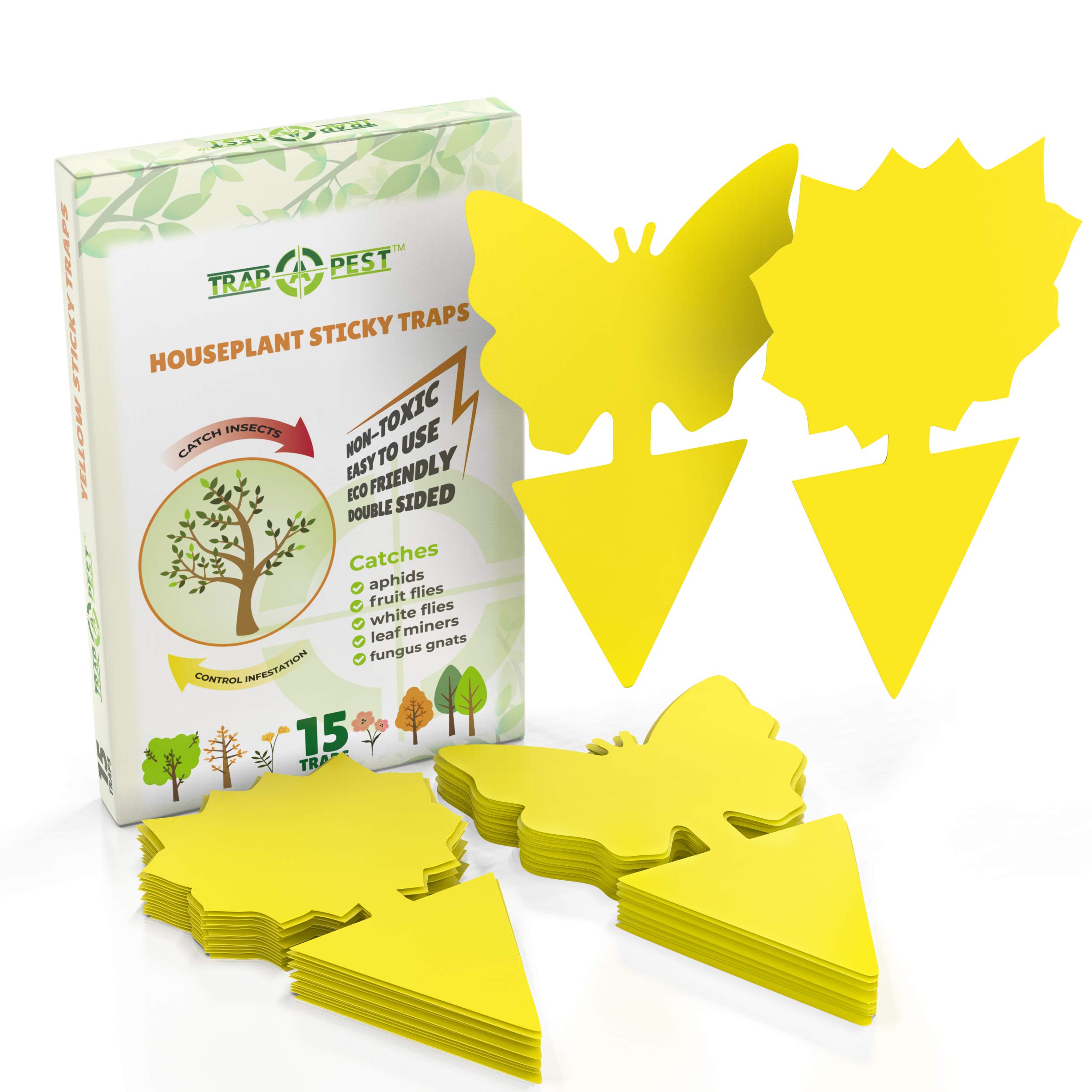 buy-15-pcs-gnat-traps-for-house-indoor-fungus-gnat-sticky-traps-for