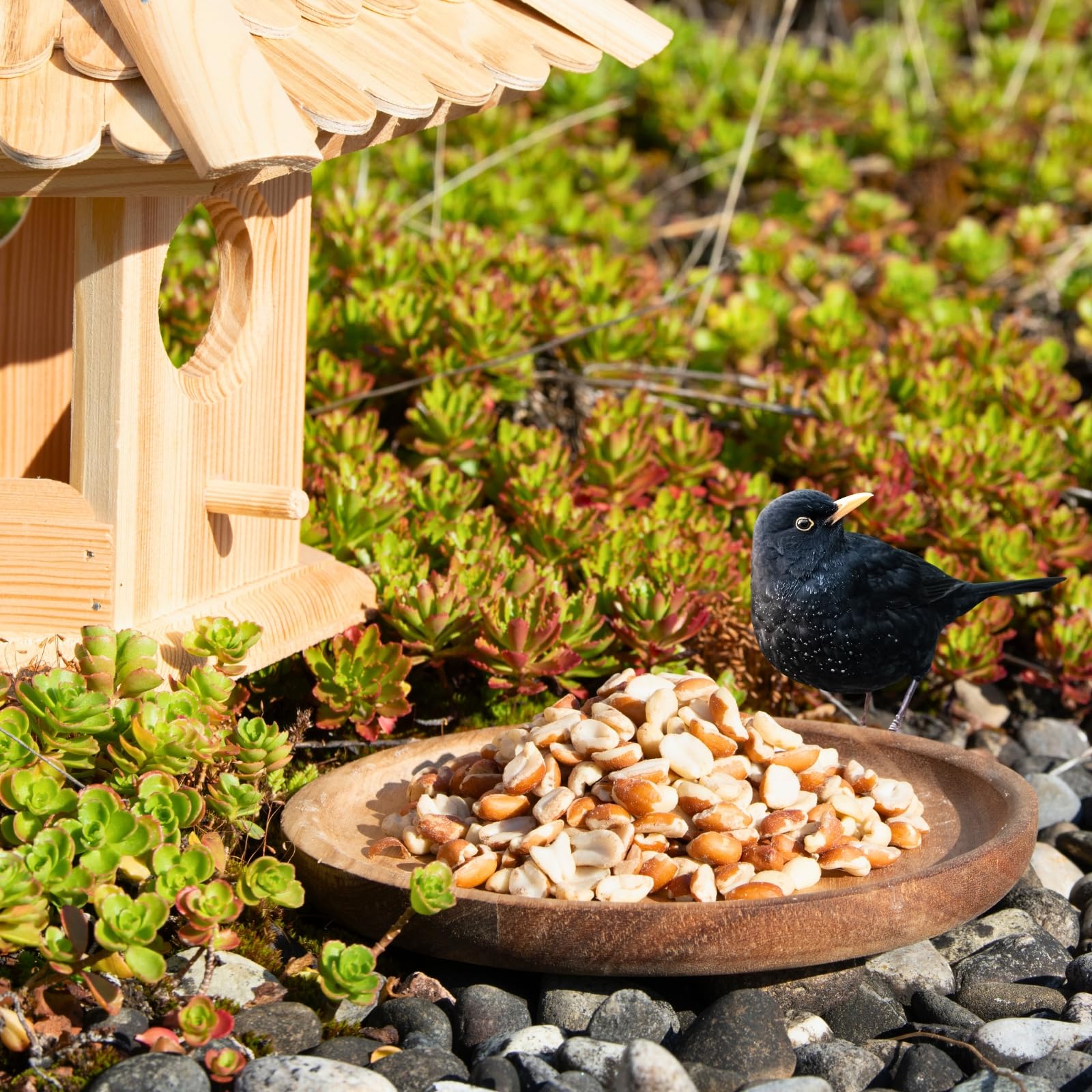 Graines de cacahuètes Splits mélangées blanchies & avec Peau 25 kg Nourriture pour Oiseaux Sauvages