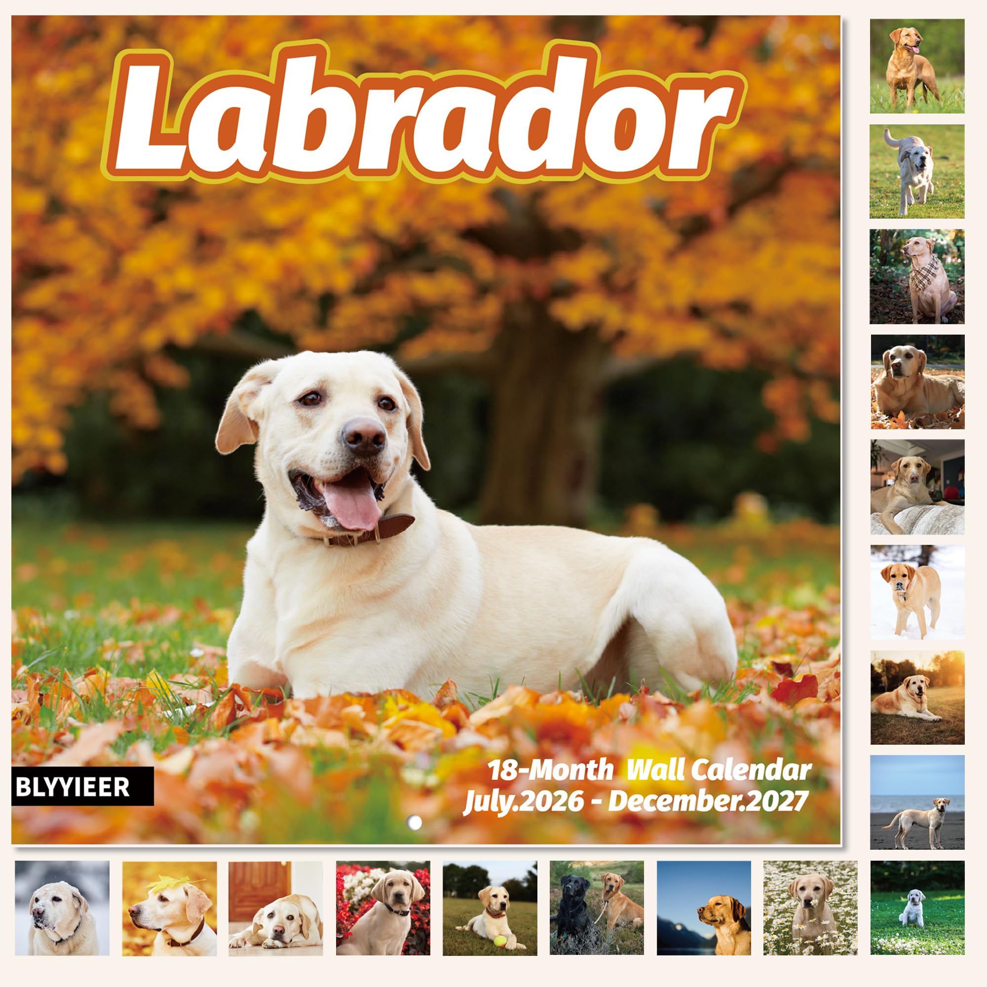 2027 Wall Calendar,Labrador Wall Calendar, 12" x 24" Open,Family Planner Calendar Organizer with Labrador Images, for Dogs Lovers