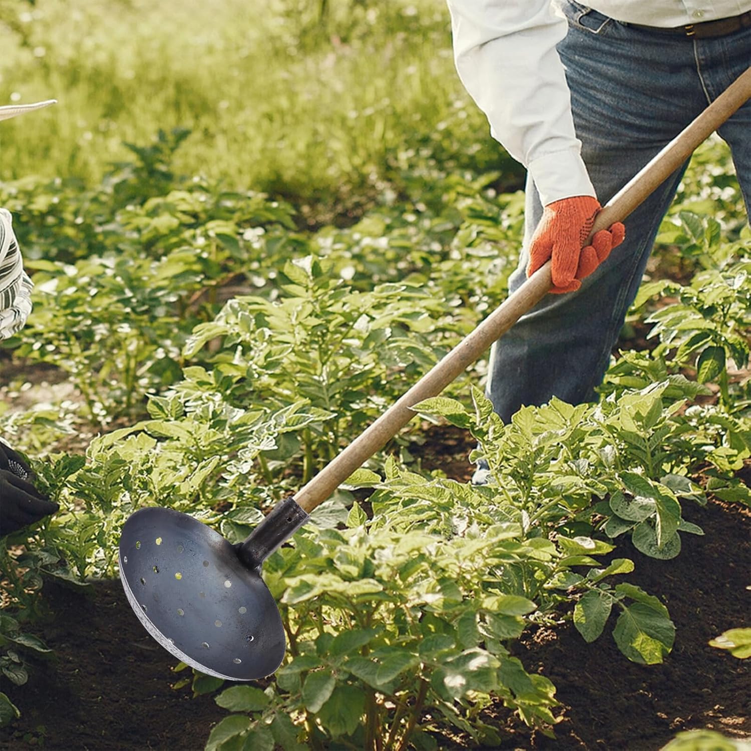 2pcs Handheld Metal Muck Sifting Scoop Shovels for Gardening and Outdoor Cleaning, 23cm Vertical Handle Muck Cleaning Shovel with Holes for Soil and Cat Litter Sifting