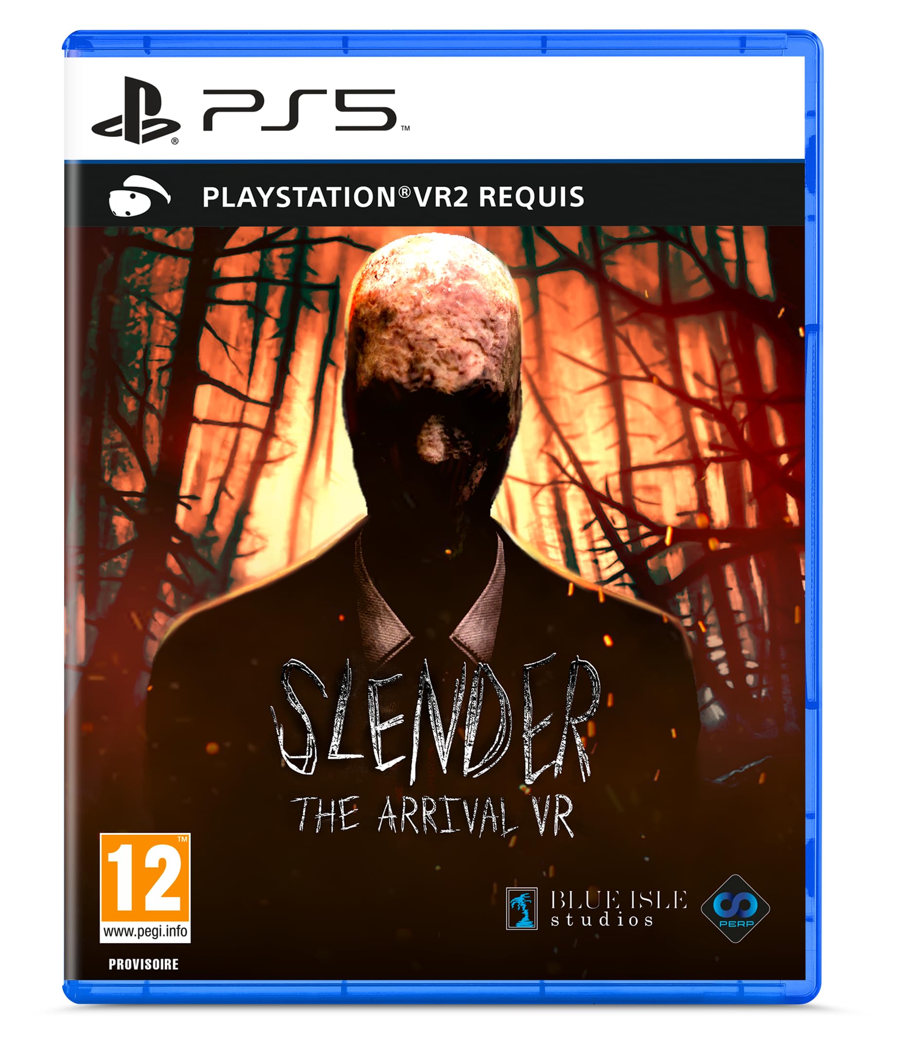 Slender: The Arrival PS5 avec PSVR2 requis pour une immersion totale - 7
