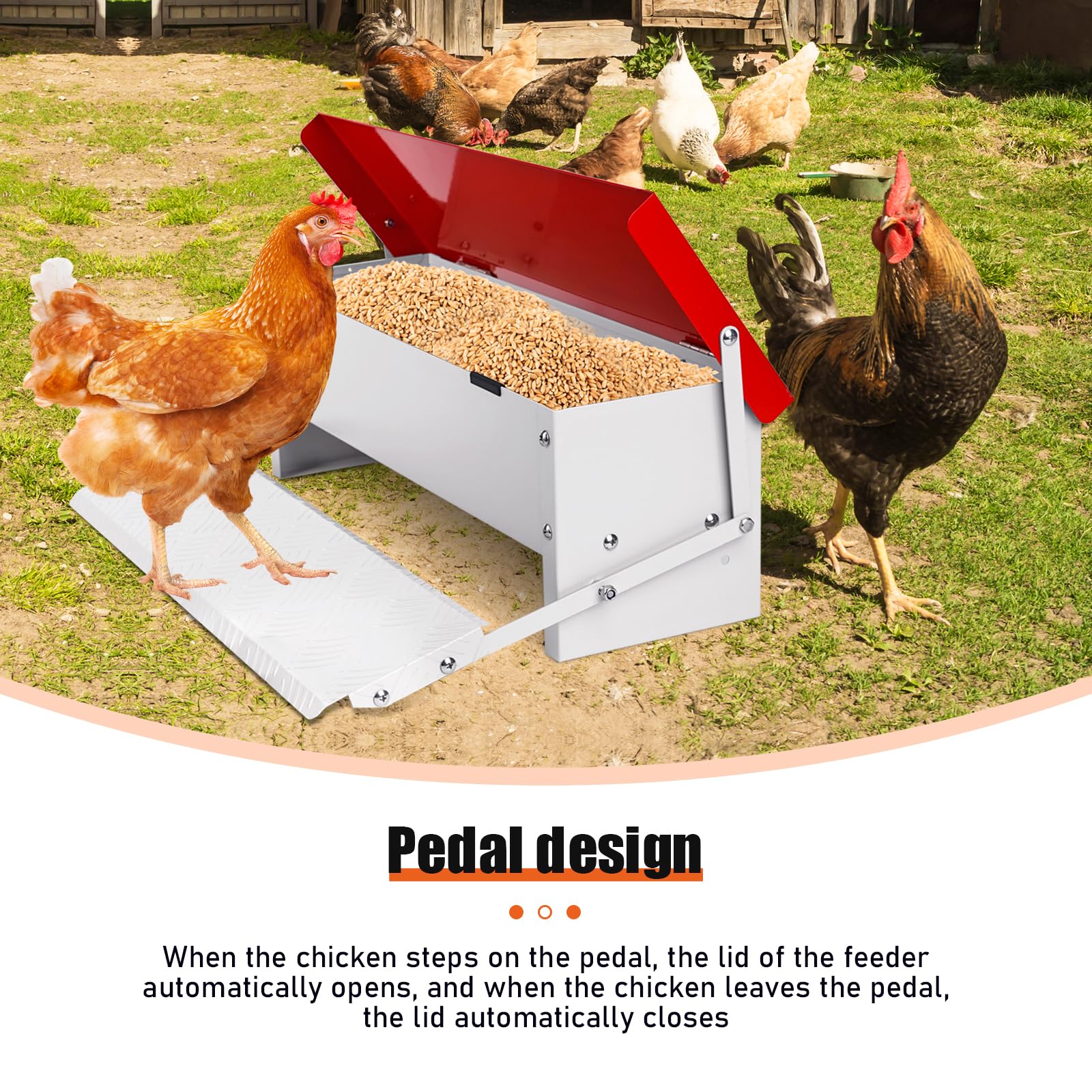 Comedero automático para pollos, 7 kg, comedero de metal para aves de corral con cuchara de acero inoxidable para exteriores, sin residuos, con tapa resistente a la intemperie para 6-12 pollos
