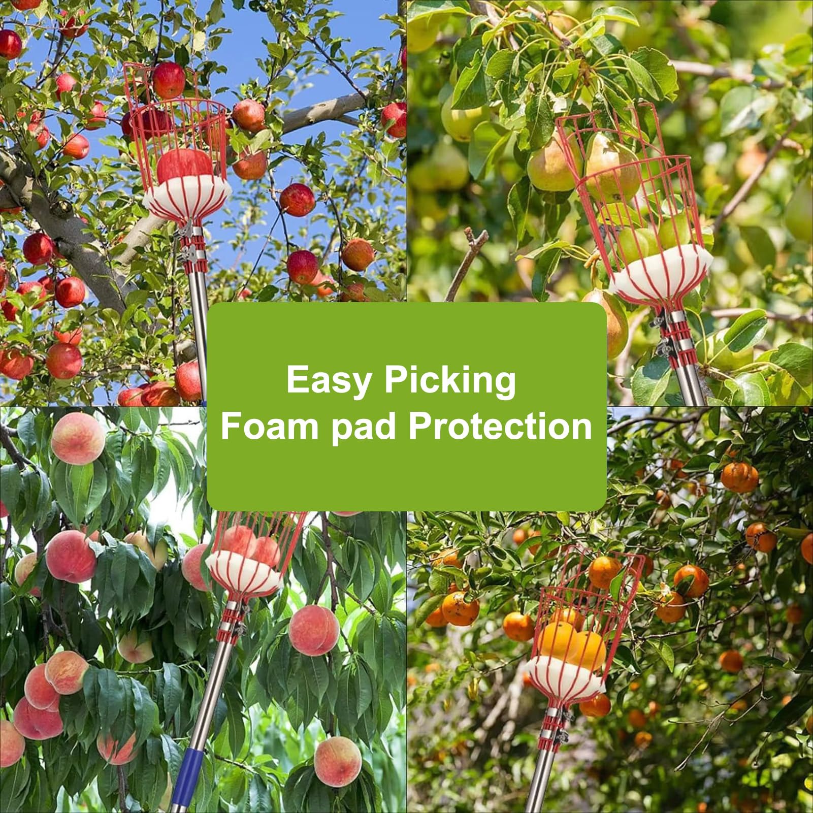 Fruit Picking Pole – Mango Avocado Picker with Basket, 13-Foot Extendable Handle Tool | Peach Pear Lemon Pomegranate Orange Harvesting Use, Garden Orchard Farm Workers, Comfortable Reach Collection