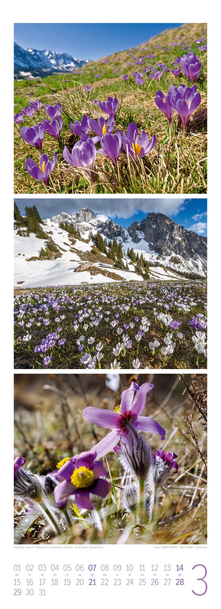 Bergzeit Triplet-Kalender 2027: Stimmungsvoller Bergkalender im schlanken Hochformat (24x66 cm) | Triplet-Fotografie mit Bildern aus den Alpen