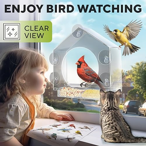Miniatura 2 de Premium Window Bird Feeder for Outside - Clear Bird House wLargest Window for Viewing Birds - Easy to Install & Sturdy Feeder wExtra Strong Suction
