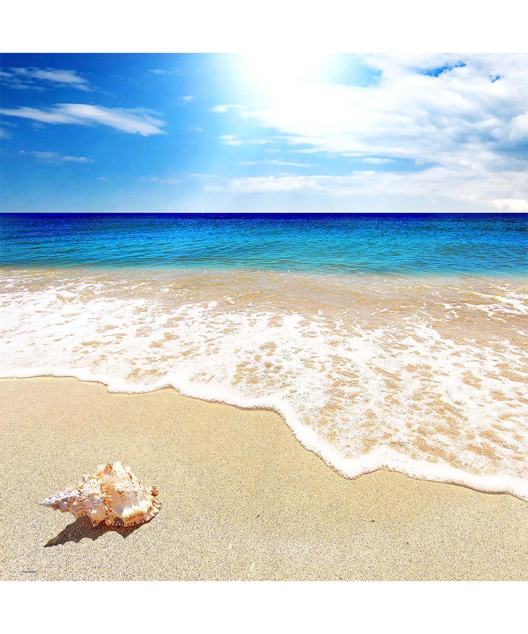 PieceRelax PieceClicks Plastic Jigsaw Puzzles for Adults 750 Pieces Coastal Beach Puzzle - Seashell on the Beach - 18.8 X 18.8 Inches, Ocean Seascape Artwork [U1136]
