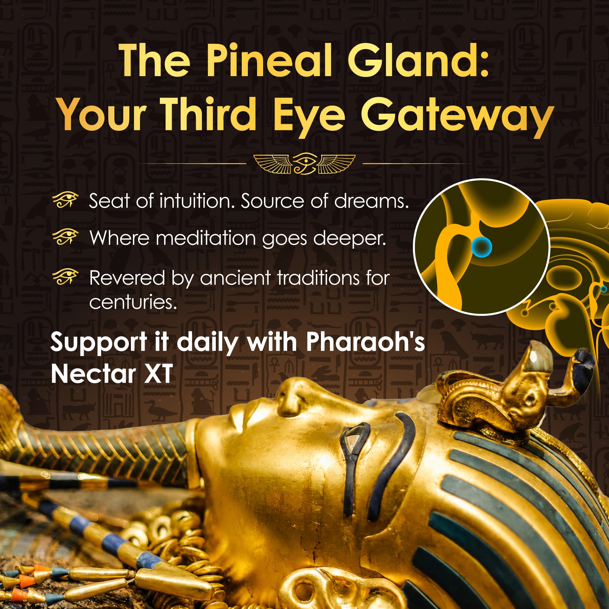 Pharaoh's Nectar XT 24K Monoatomic Gold Ormus Liquid — Amazon image 5