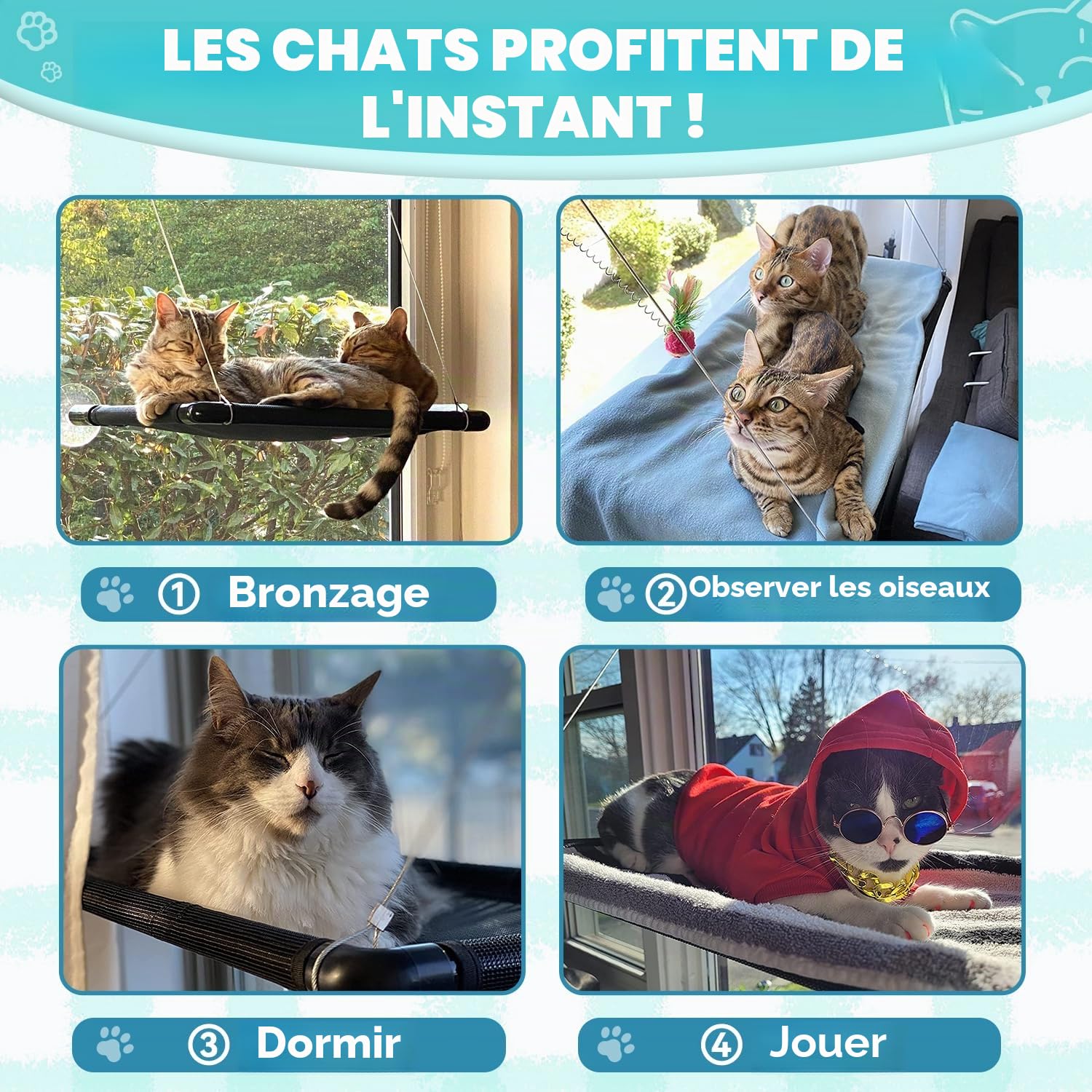 Dracarys Hamac Chat fenetre，pour Grands Chats jusqu'à 20 kg，Bain de Soleil，Lit pour Animaux de Compagnie，pour Grandes fenêtres，Convient aux fenêtres d'une Longueur ≥ 74 cm et d'une Hauteur ≥ 64 cm
