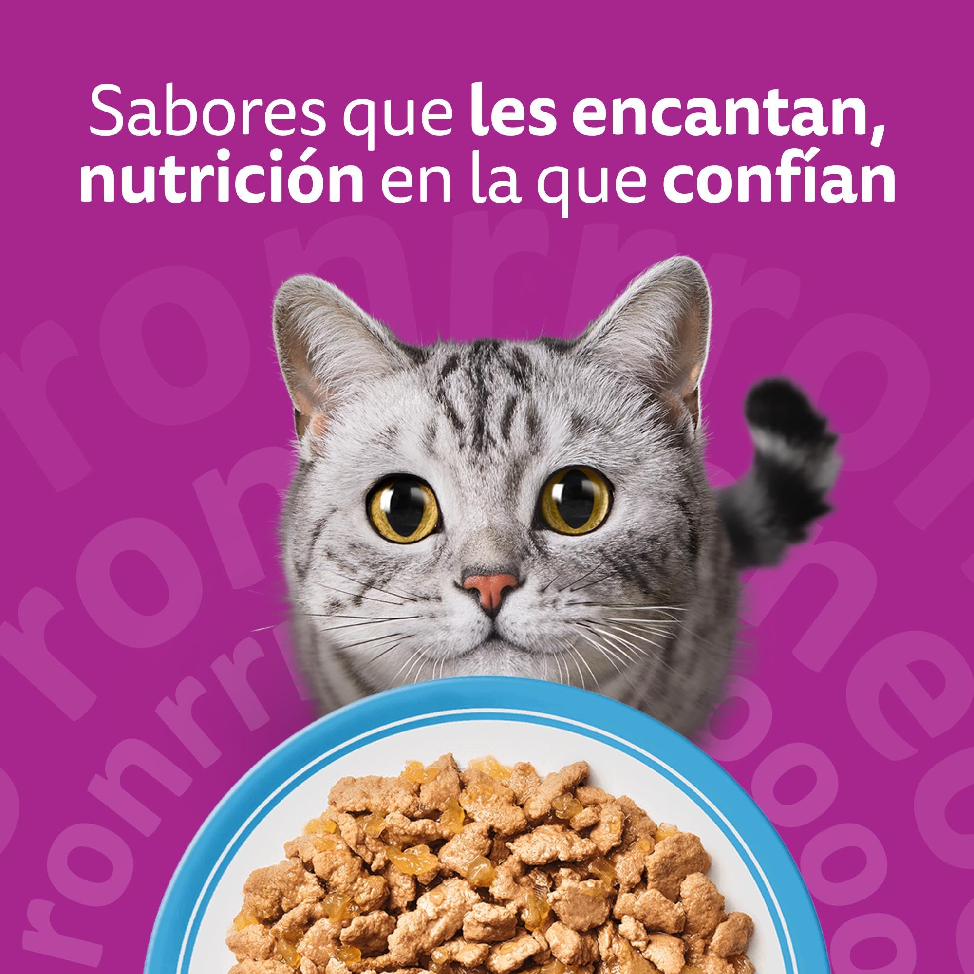 Whiskas Comida Húmeda para Gatos Adultos Selección Pescados en Gelatina (Multipack 4x12x85g)