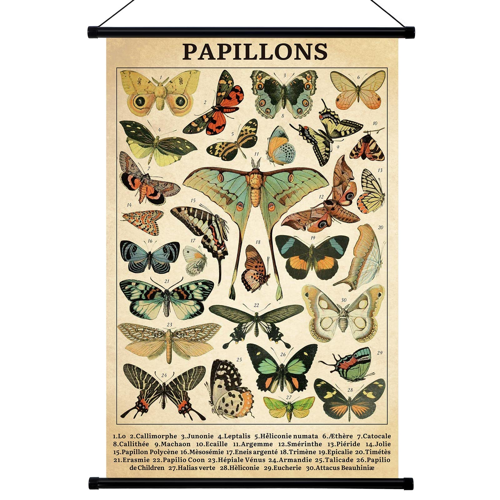 Amazon.com: Geyee Butterfly Vintage Poster Wall decor Rustic