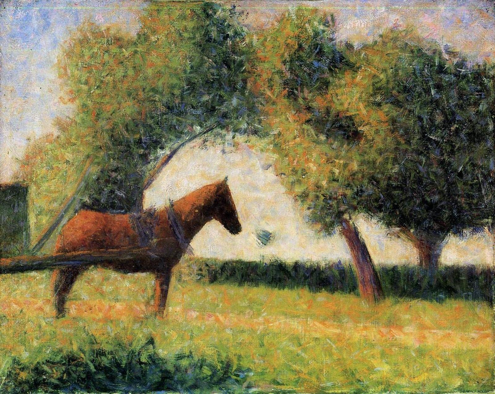 Kit Paint By Numbers Per Adulti E Bambini | Tela 40x50cm Con Stampa Georges Seurat – Il Circo | Acrilici Ecologici E Pennelli Inclusi