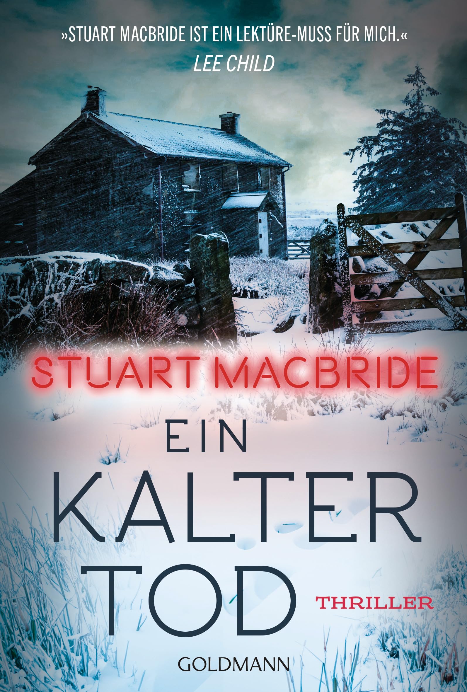 Ein kalter Tod: Thriller
