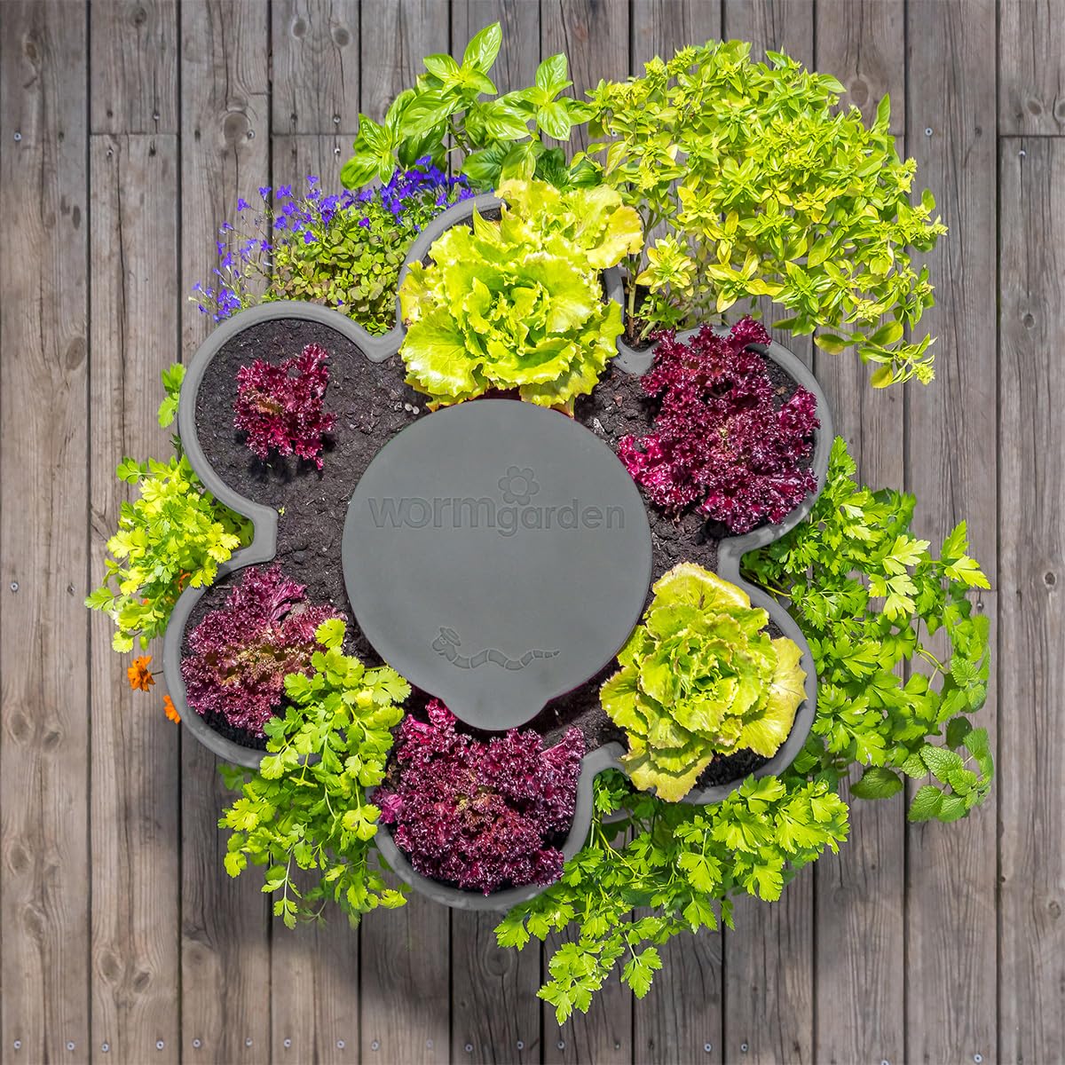 WORMgarden Gris 1 jardinières + 250gr de vers de Compost | Jardin Potager Vertical avec lombricomposteur | Cultivez Vos Fruits et légumes | Créez Votre Potager et recyclez Vos déchets