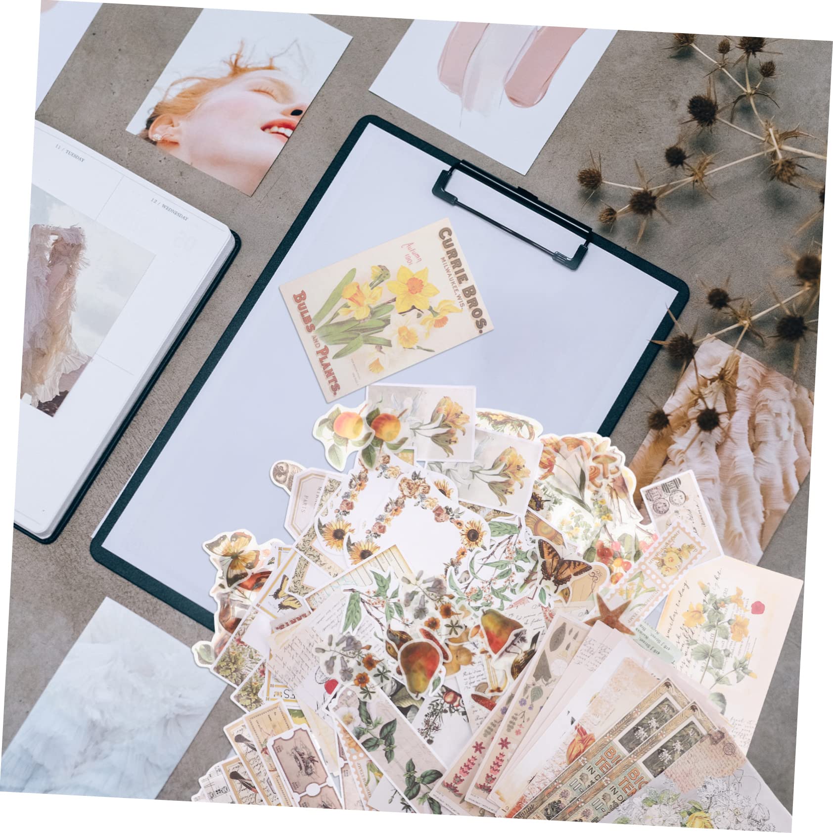 Operitacx 5sets Carta Decorativa Per Scrapbooking Materiale Fai Te Per Album Fotografici e Journaling Kit Adesivi Con Design Elegante e Sicuro Per Creazioni Artistiche
