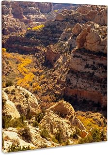 3dRose USA, Utah, Grand Staircase Escalante Monument. Cliff and cottonwoods Museum Grade Canvas Wrap 8x10