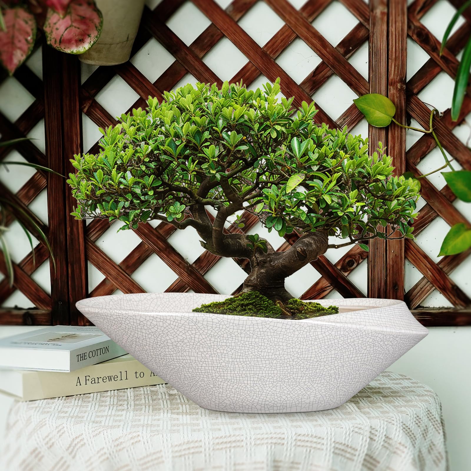 EPFamily Bonsai-Tpfe  45,7 cm Keramik-Blumentopf fr Bonsai-Baum,  moderner Sukkulenten-bertopf fr drinnen und drauen, mit Drainage,  Raumdekoration, Geschenke fr Pflanzenliebhaber, Wei-Schwarz: Amazon.de:  Garten