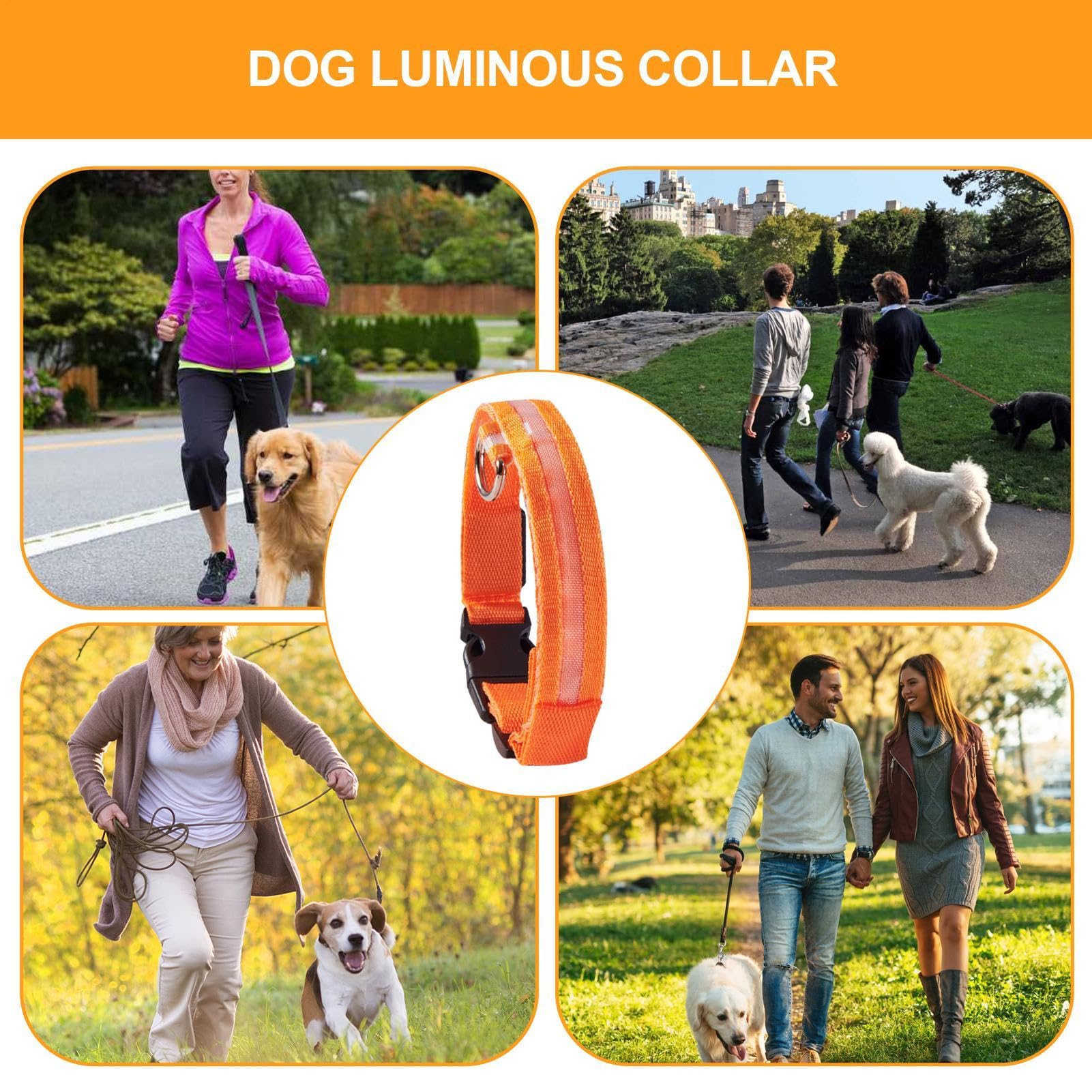 LED | Collare luminoso lampeggiante per cani, collari regolabili che | brillano al buio per cuccioli, cani di taglia media e piccola.