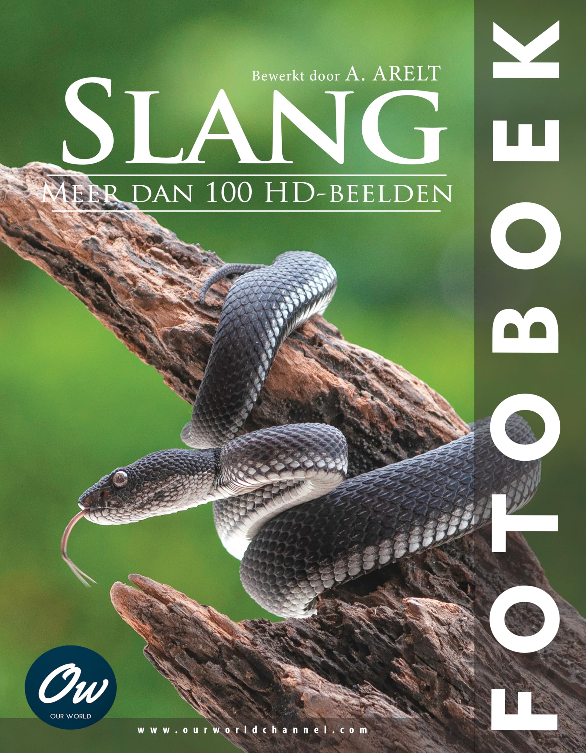 Fotoboek Slang Dutch Edition livre de photographie d'art contemporain néerlandais