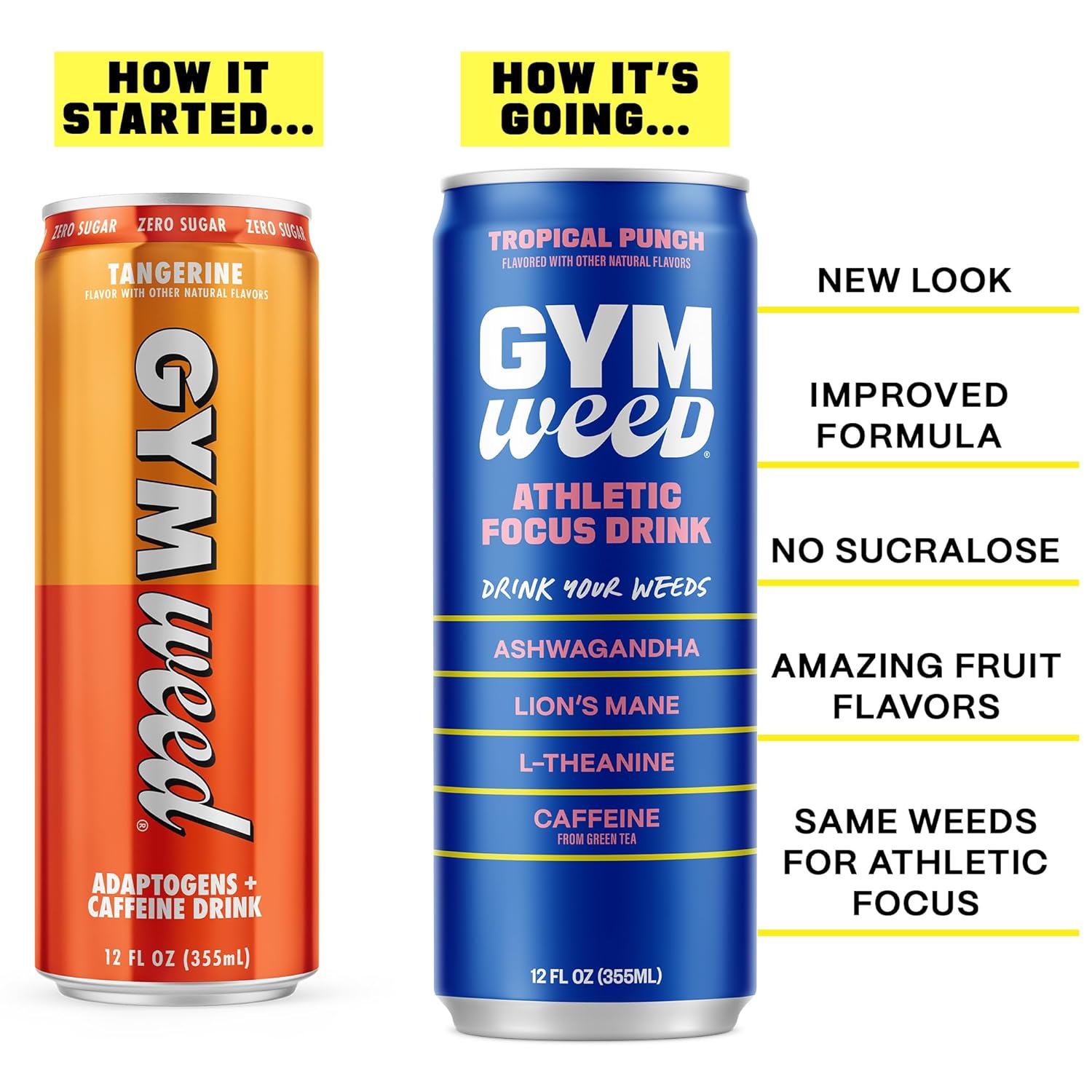 GYM WEED Athletic Focus Drink with KSM-66 Ashwagandha, Lion's Mane Mushroom, L-Theanine, 200mg Green Tea Caffeine with Natural Sweeteners Tropical Punch Flavor, 12 Pack