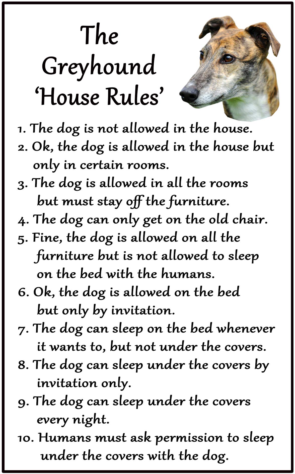 Fridge Magnets Greyhound Dog Gift - House Rules - Large Fun Flexible Fridge Magnet- Size 16Cms X 10 Cms (Approx. 6" X4")