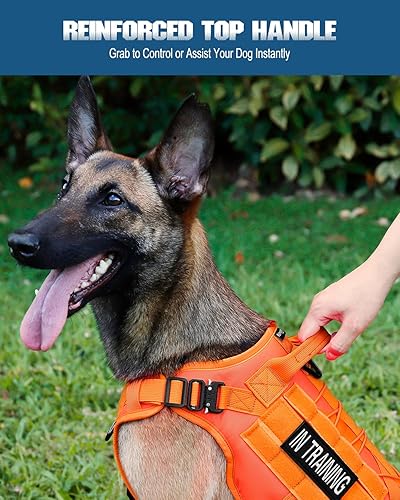 Miniatura 4 de PETNANNY Chaleco táctico para perros, arnés de apoyo emocional sin tirones con parches de y sistema Molle para entrenamiento y caza (naranja,