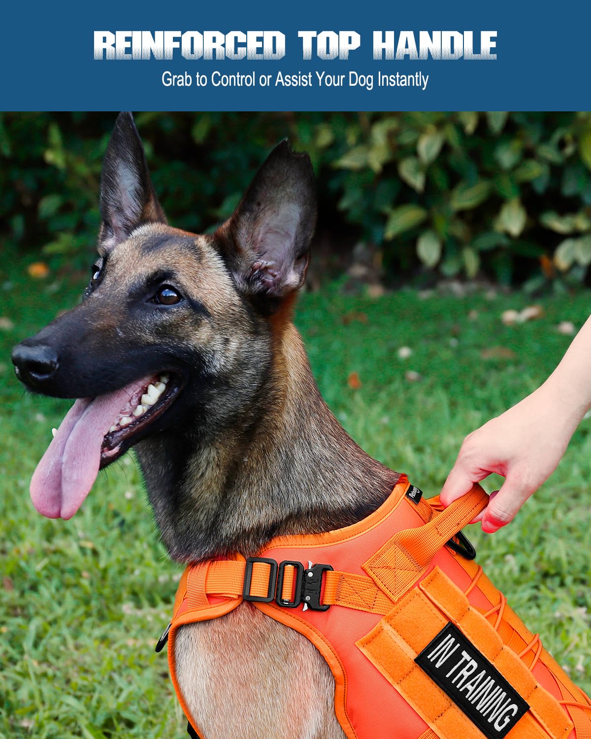 PETNANNY Arnés táctico para perros de servicio, chaleco de apoyo emocional para perros medianos y grandes, chaleco para perro de la ESA sin tirones con gancho y bucle, chaleco Molle de trabajo para