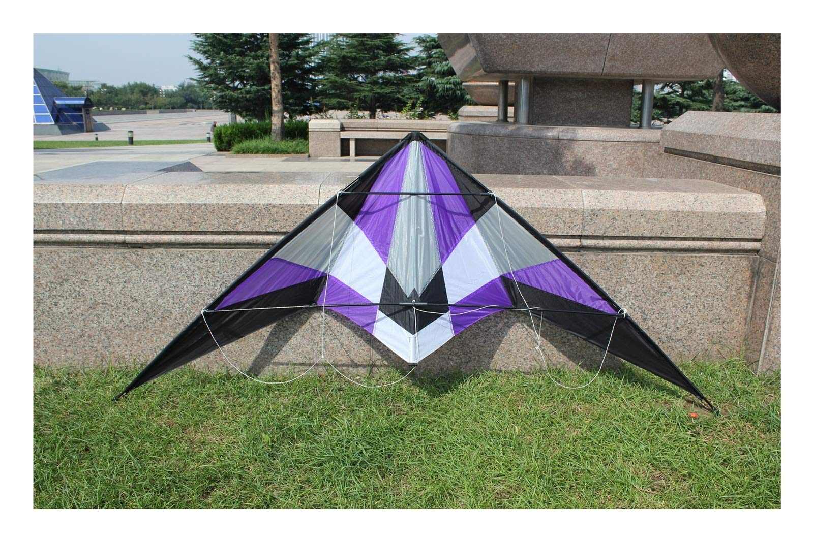 Apple - Kite Amazon.com: WindNSun Pterodactyl Supersize Kite, Multicolor