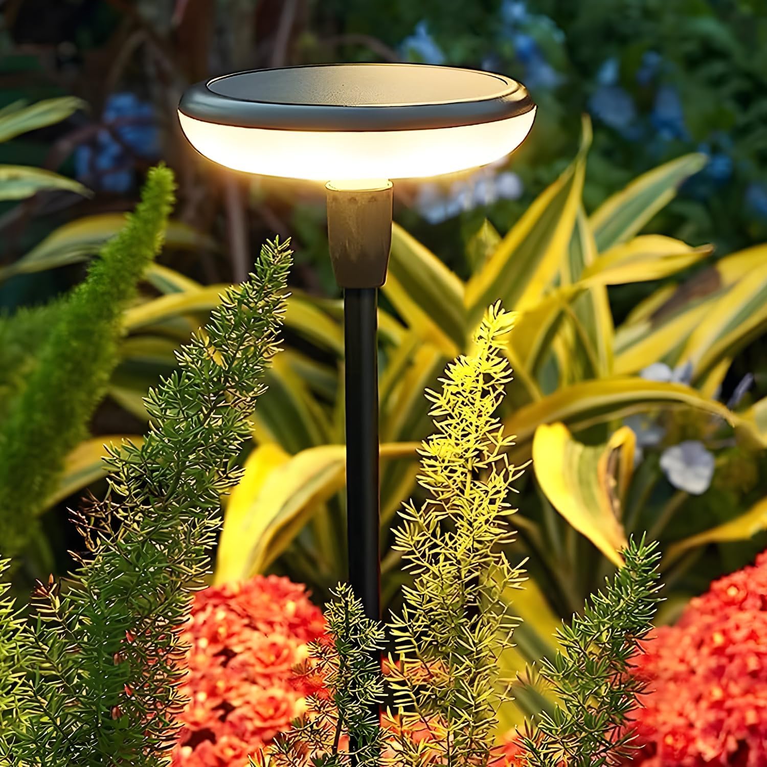 GIGALUMI GL-241 8 LED Solar Garden Light with 2V Panel BIS Approved 800mAh Ni-MH Battery Swaying Stake Outdoor Lamp for Yard Lawn Walkway Decor (Pack of 1, Warm White)-picture-10