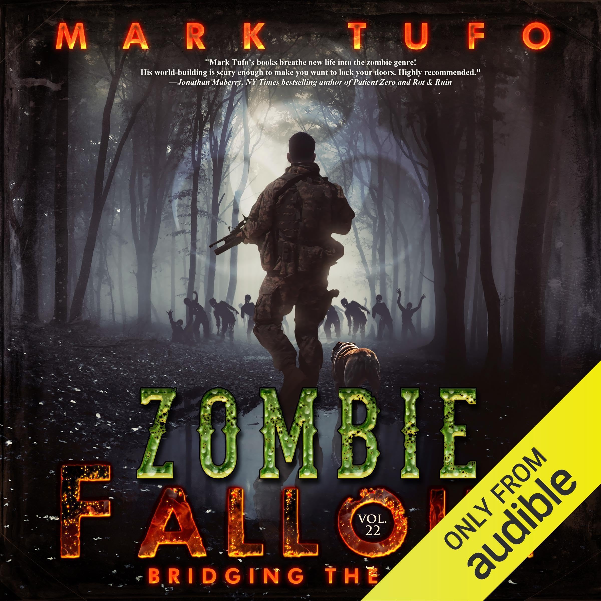 Bridging the Gap: Zombie Fallout, Book 22