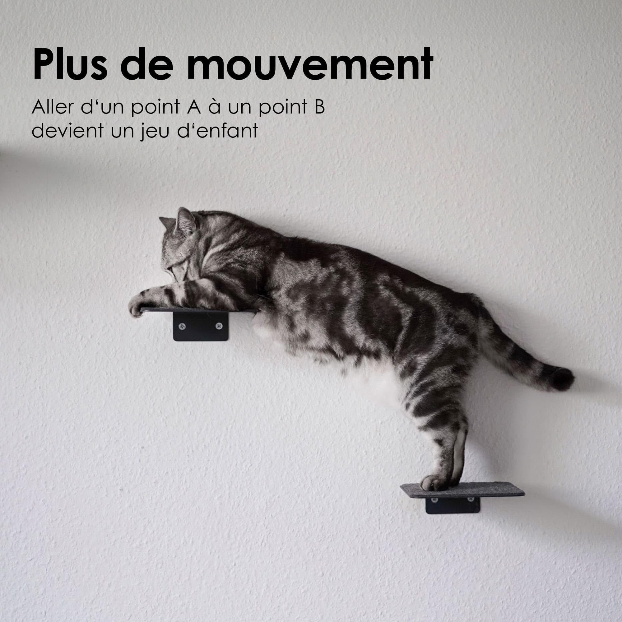 LucyBalu® Steps Marches murales pour Chat Lot de 3 I Anthracite