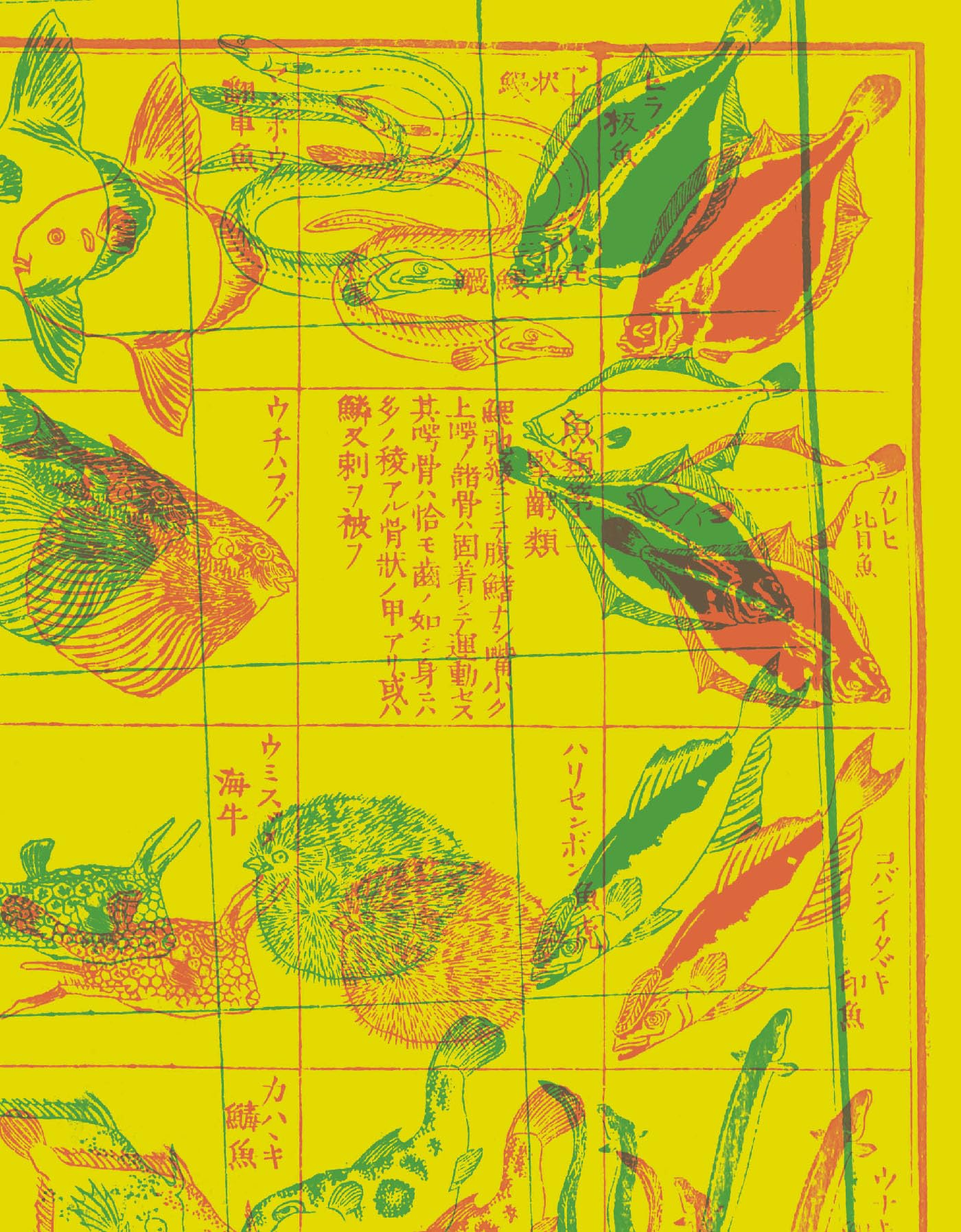Umami: le goût de l'harmonie et du lien