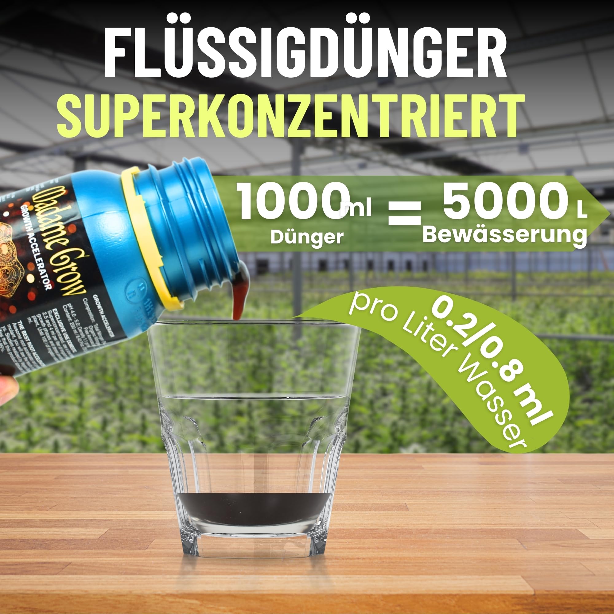 MADAME GROW dünger pflanzen - dünger pflanzen - dünger pflanzen grün - dünger pflanzen grün - substrat pflanzen grün - dünger für pflanzen - universal dünger - blattdünger(GROWTH ACCELERATOR 1L)