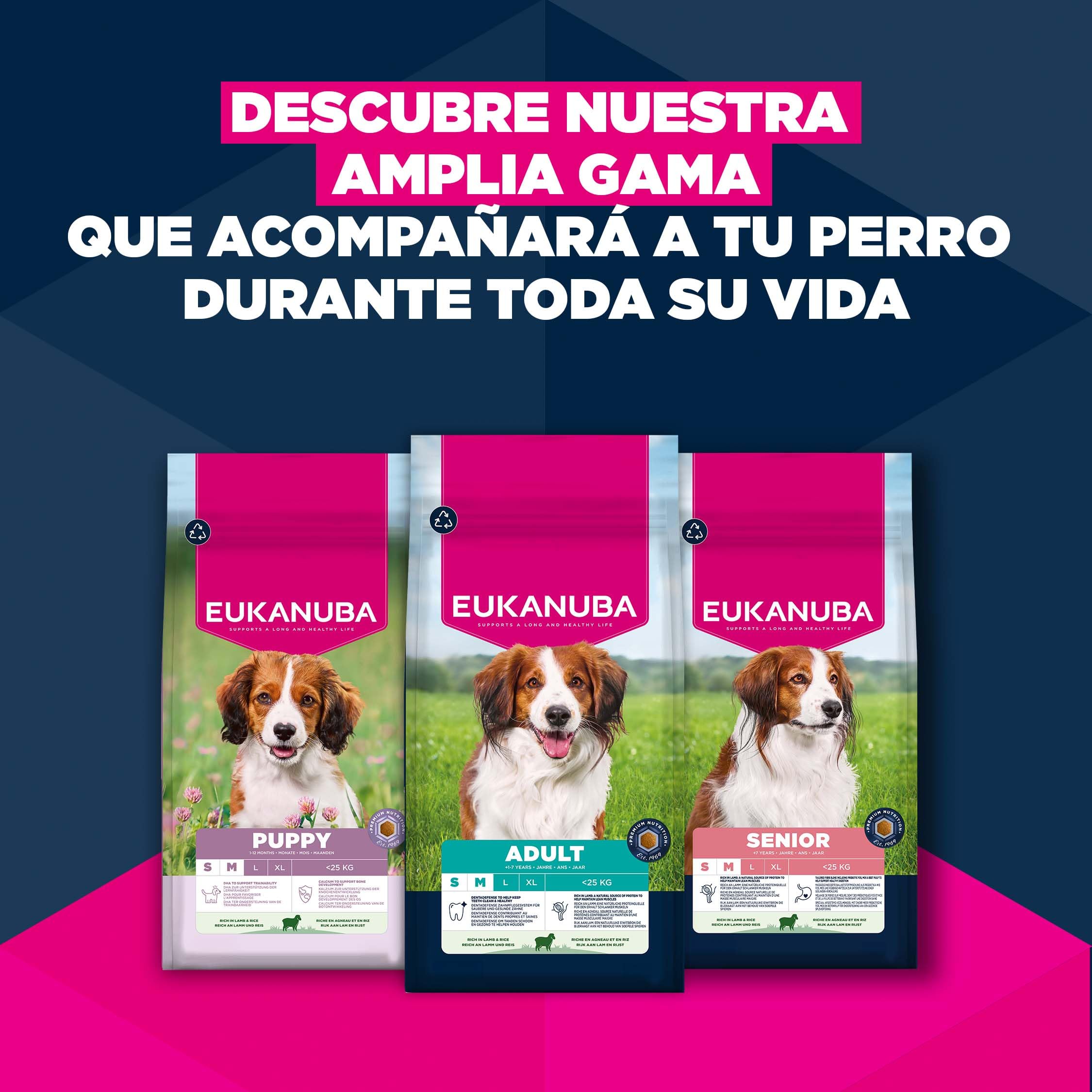 Eukanuba, alimento para Cachorros con Cordero y arroz para Razas pequeñas y Medianas - Alimento seco Premium para Perros Junior, 12 kg