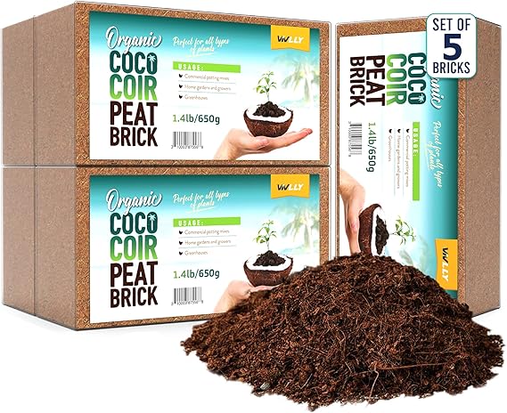 81yDtilSSCL. AC SX569