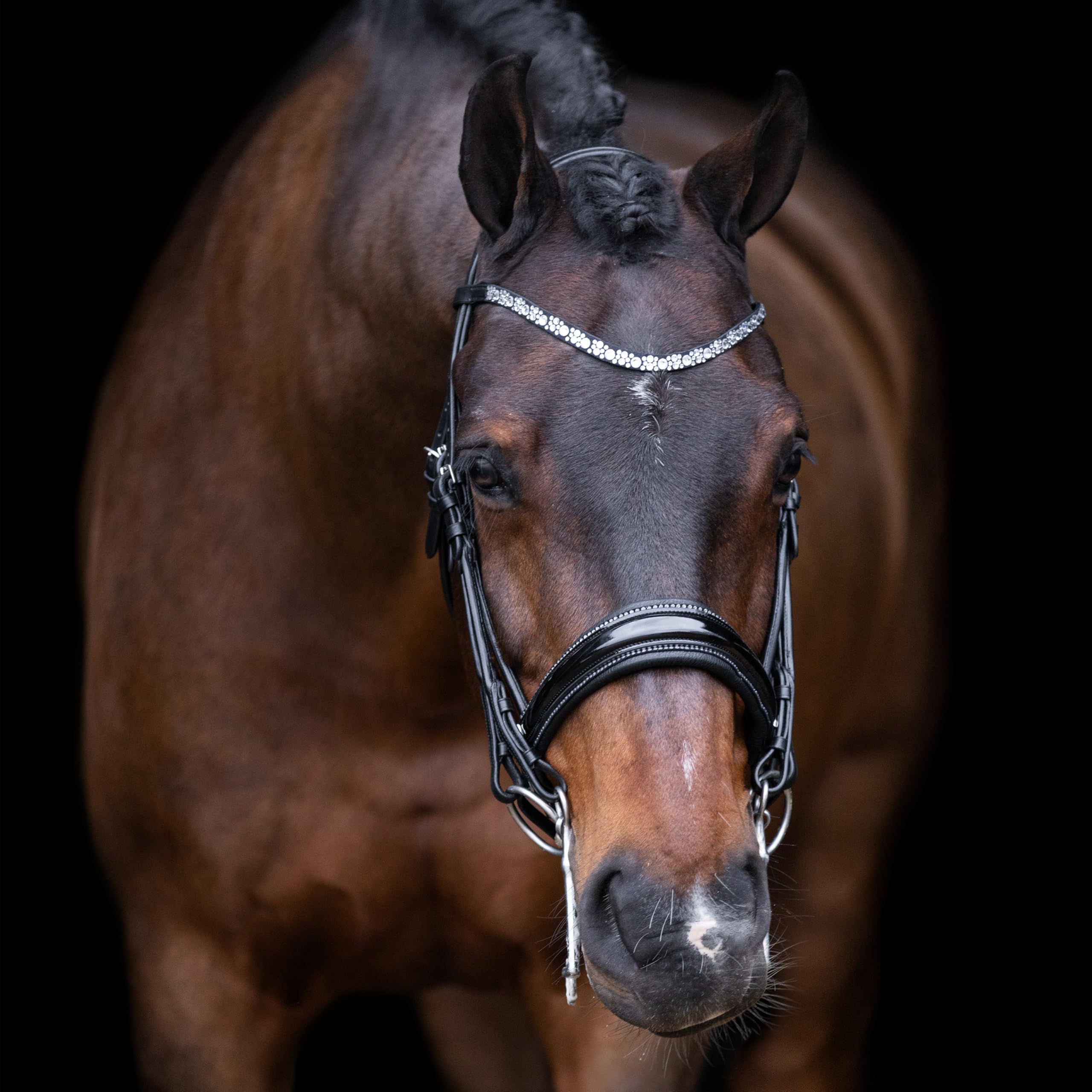 Imperial Riding IRHOlympia Bridle Black/Silver, F/S