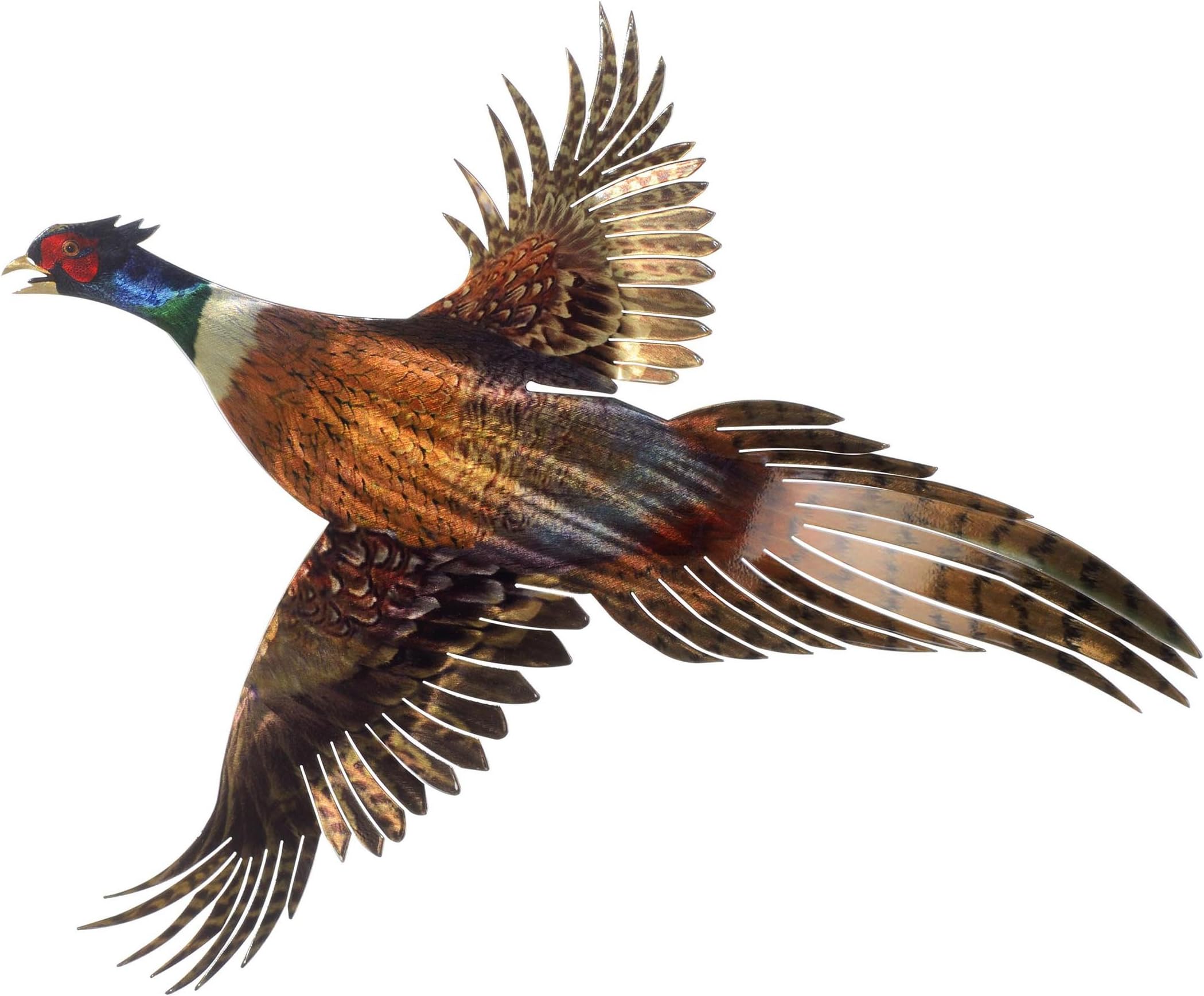 24.5" X 21" Pheasant Refraxions 3D Wall Art