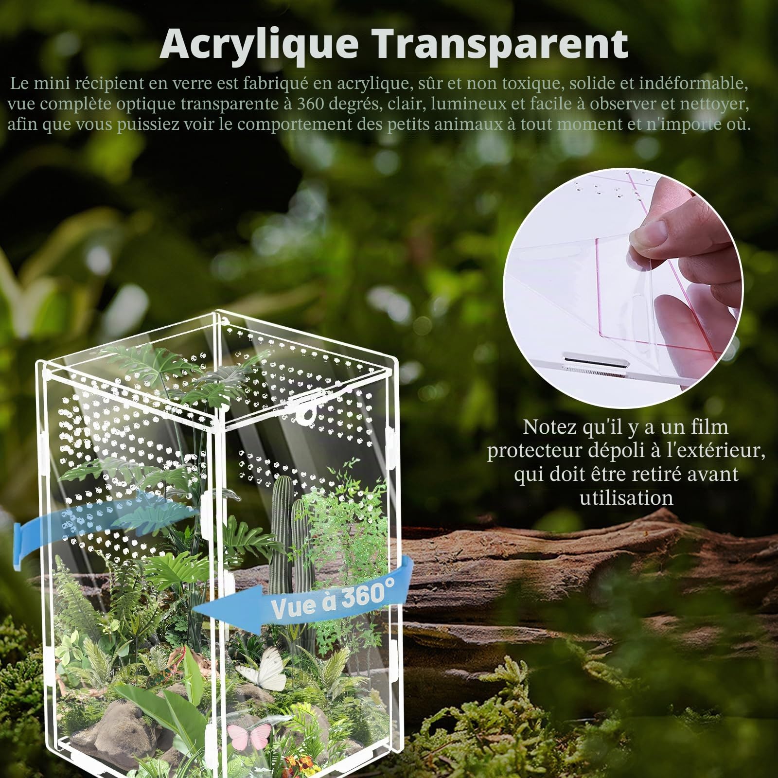 Terrarium à escargots 360° en acrylique : WIYETY Mini terrarium transparent en acrylique pour terrarium Reptile Scorpion Beetle Reptile Reptile (20 x 12 x 12 cm)