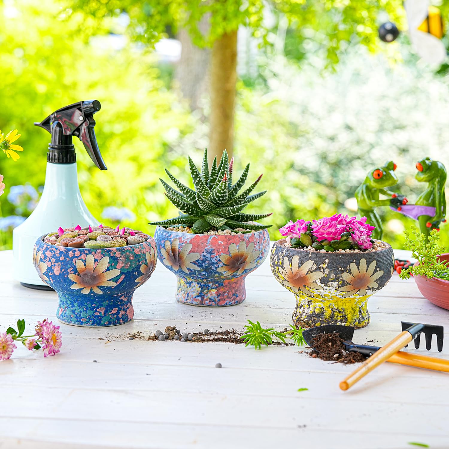 Amazon.com: Sungmor Small Succulent Planters Set of 3, Beautiful