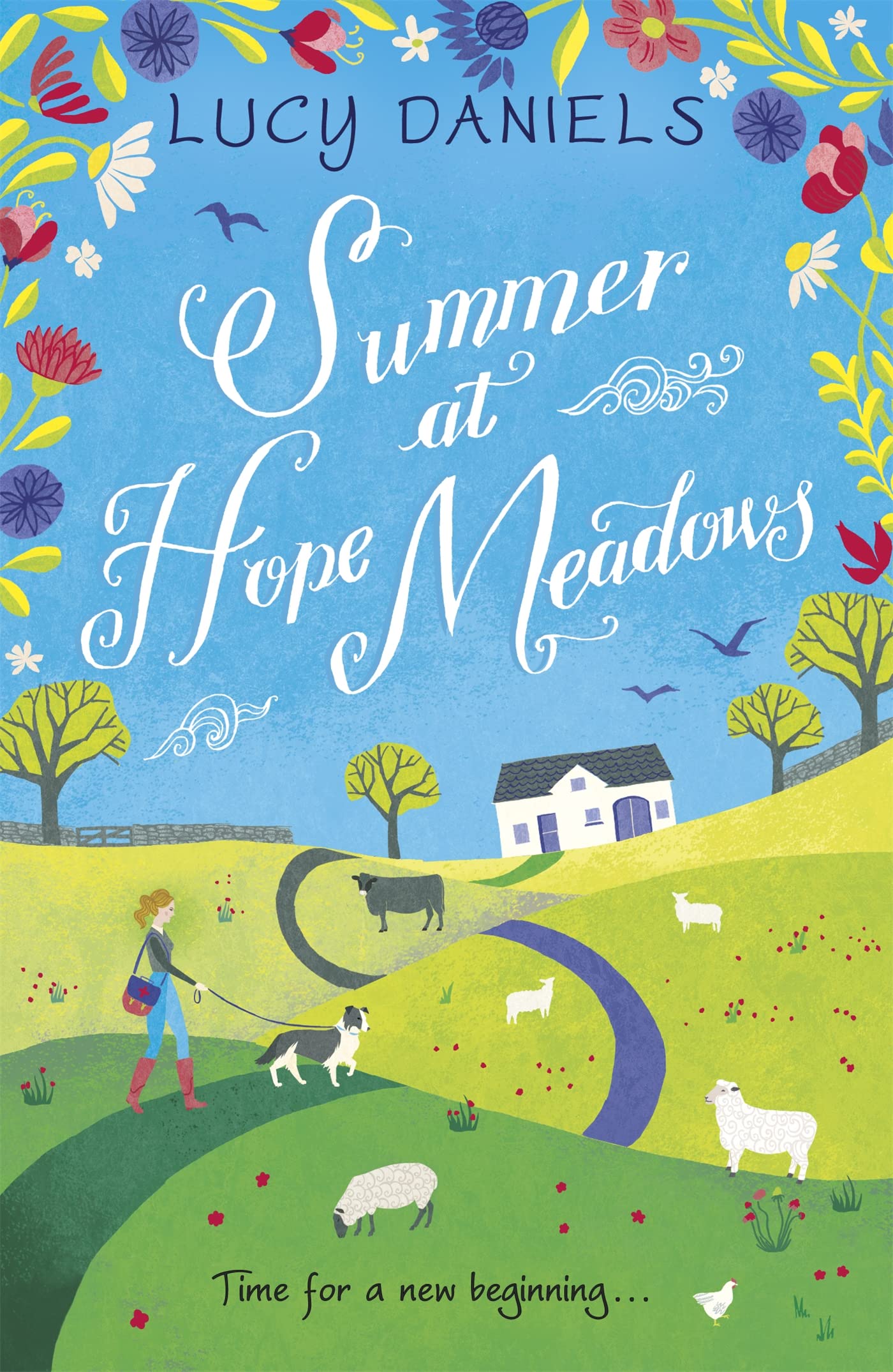 Summer at Hope Meadows by Lucy Daniels (Paperback Book)
