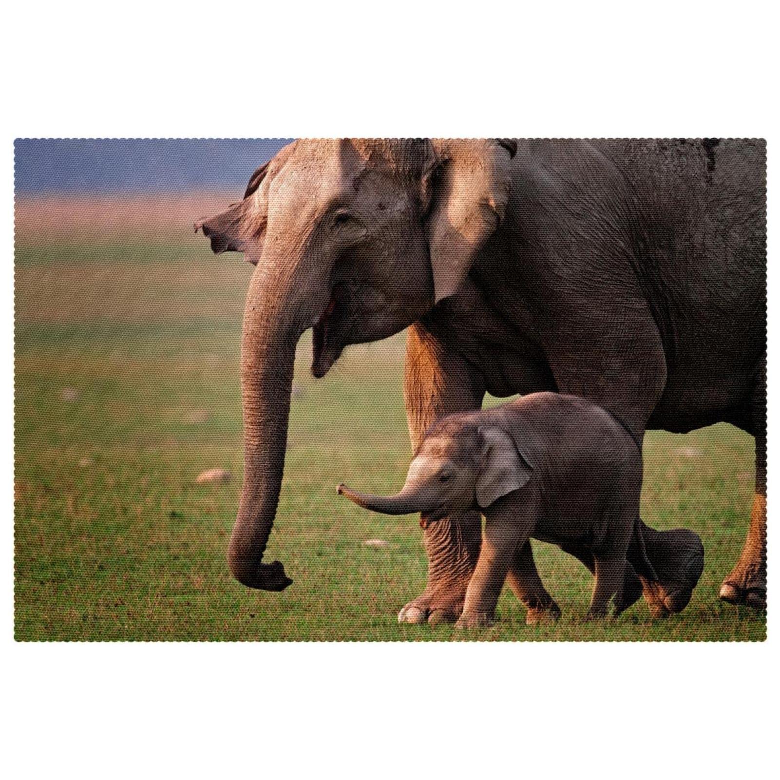 Sets de table antidérapants et résistants à la chaleur Happy Elephant Mom Young pour vos plats