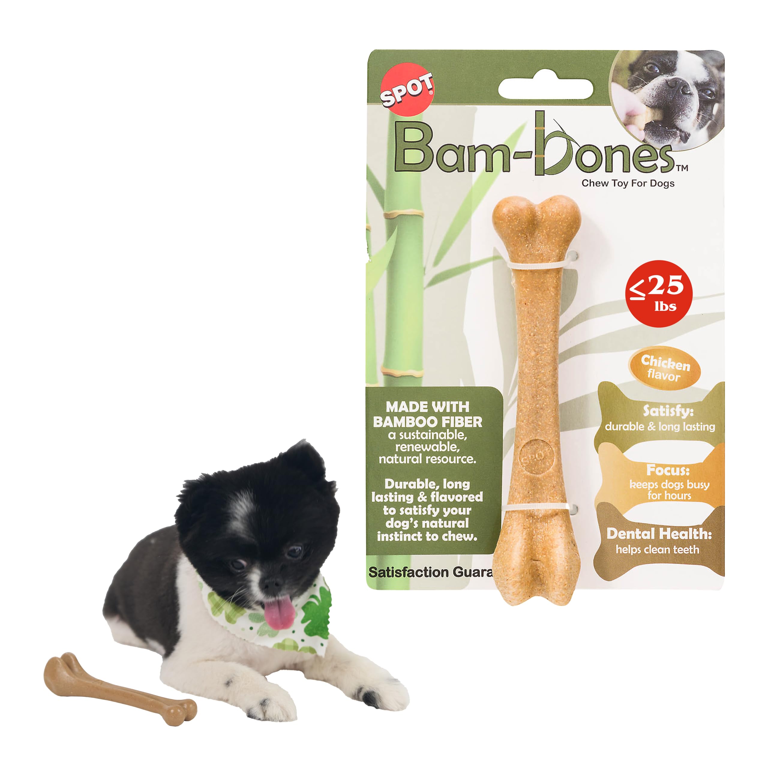SPOT Bam-Bones Bone - Made with Strong Bamboo Fiber, Durable Long Lasting Dog Chew for Light to Moderate Chewers, Great Toy for Adult Dogs & Teething