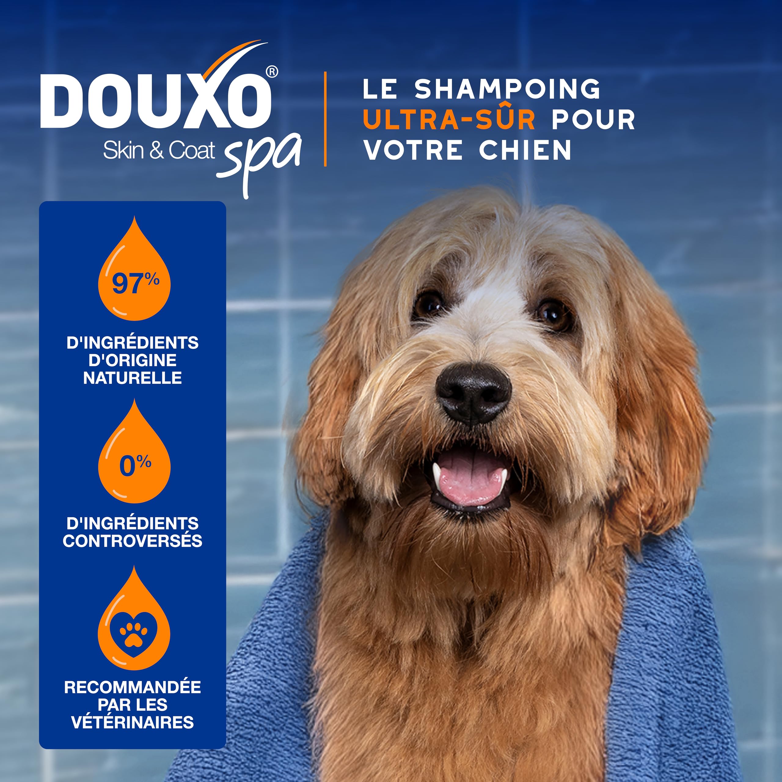 DOUXO Skin & Coat Spa - Ultra-Safe Shampoing 2 en 1 démêlant pour Chiens, 250 ML, nettoie et Hydrate en Profondeur la Peau et Le Poil, Laisse Le Pelage Doux, Soyeux et démêlé, respecte la Peau.