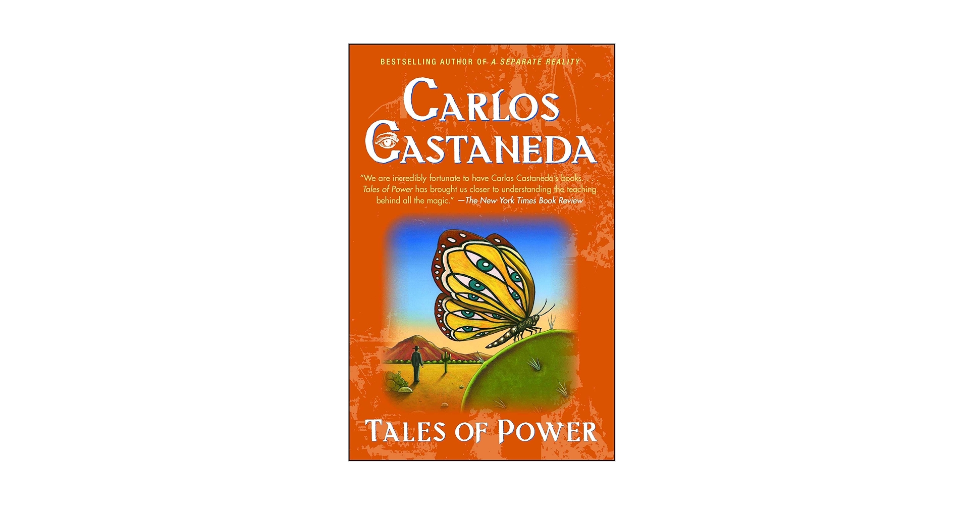 洋書　A Separate Reality Carlos Castaneda A Separate Reality by Castaneda, Carlos | unknown | 1973