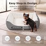 Avont Orthopedic Dog Cat Bed for Medium Dogs, High Supportive Foam Comfort Pet Couch Sofa with Soft Machine-Washable Cover and Non-Slip Bottom for Indoor Pet Puppies and Senior Dogs -Cream(M)