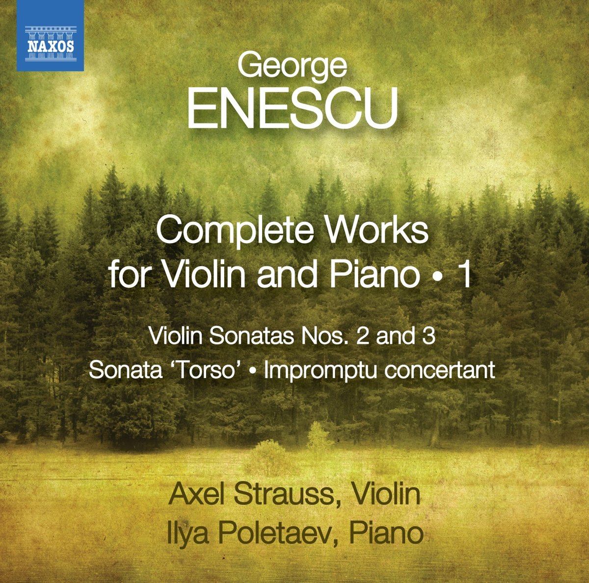 Strauss:poletaev Enescu: Complete Vln Sonatas 1 CD 8572691 NEW